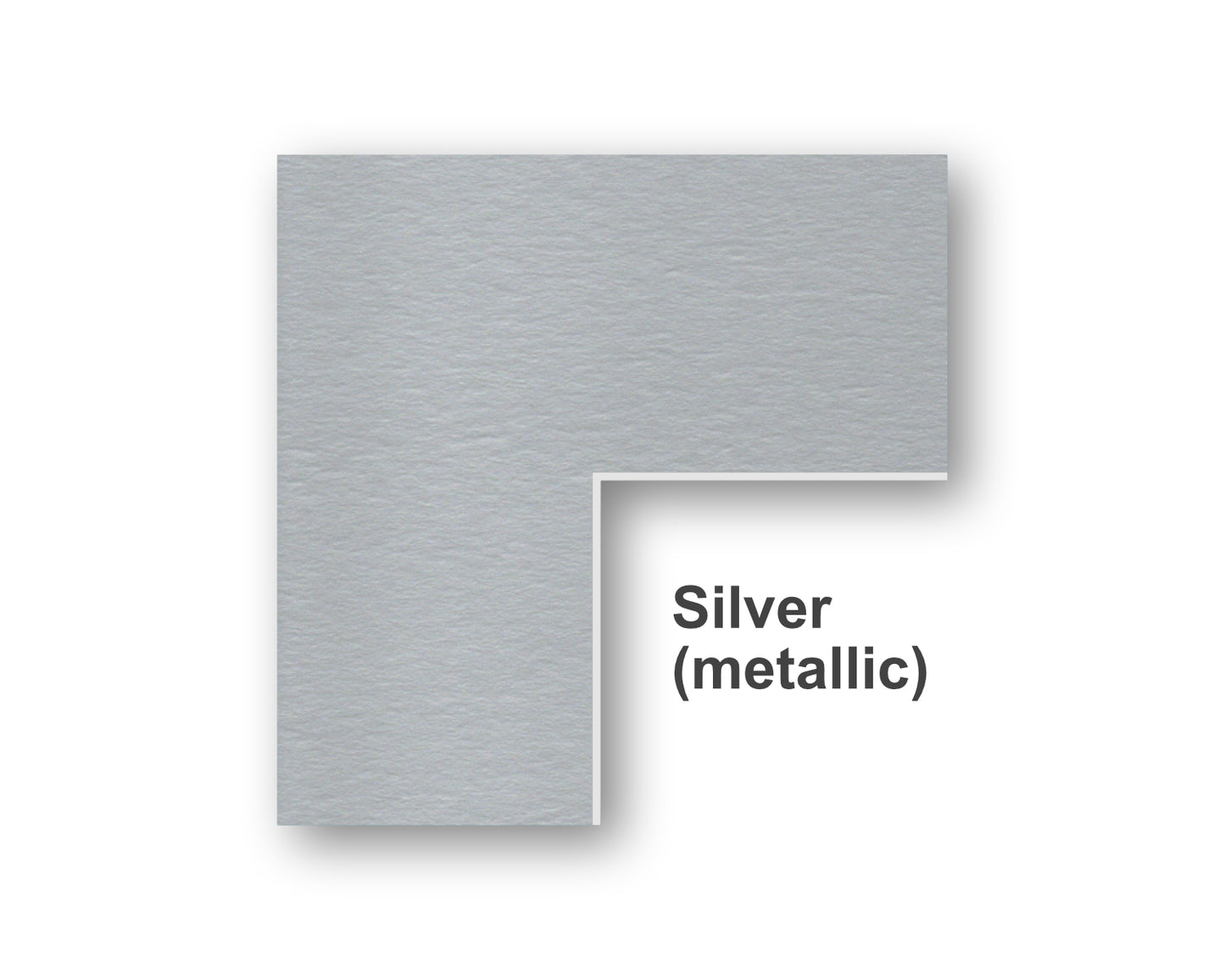 Silver Metallic Color Swatch
