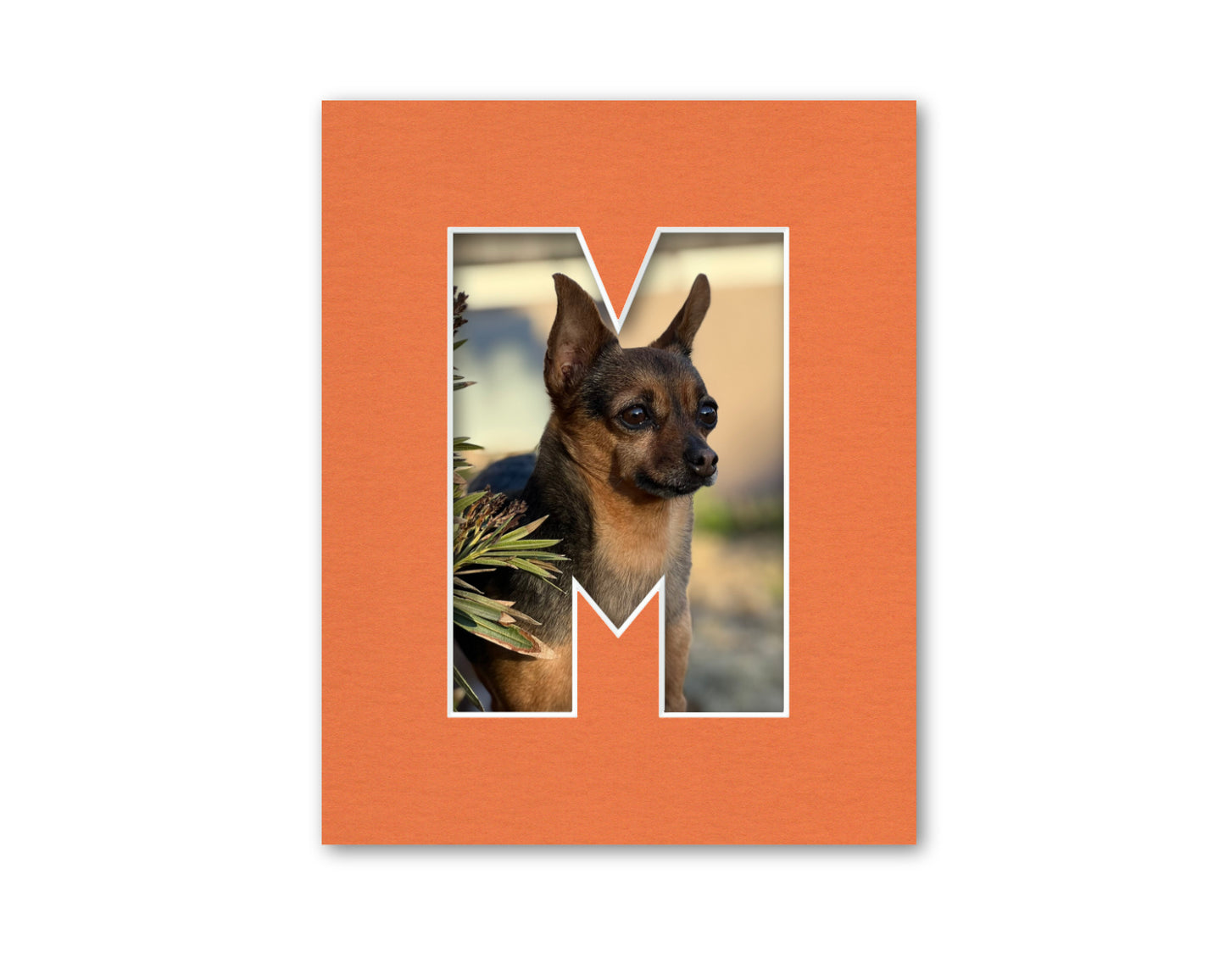An example of what this letter mat looks like with a photo in it.