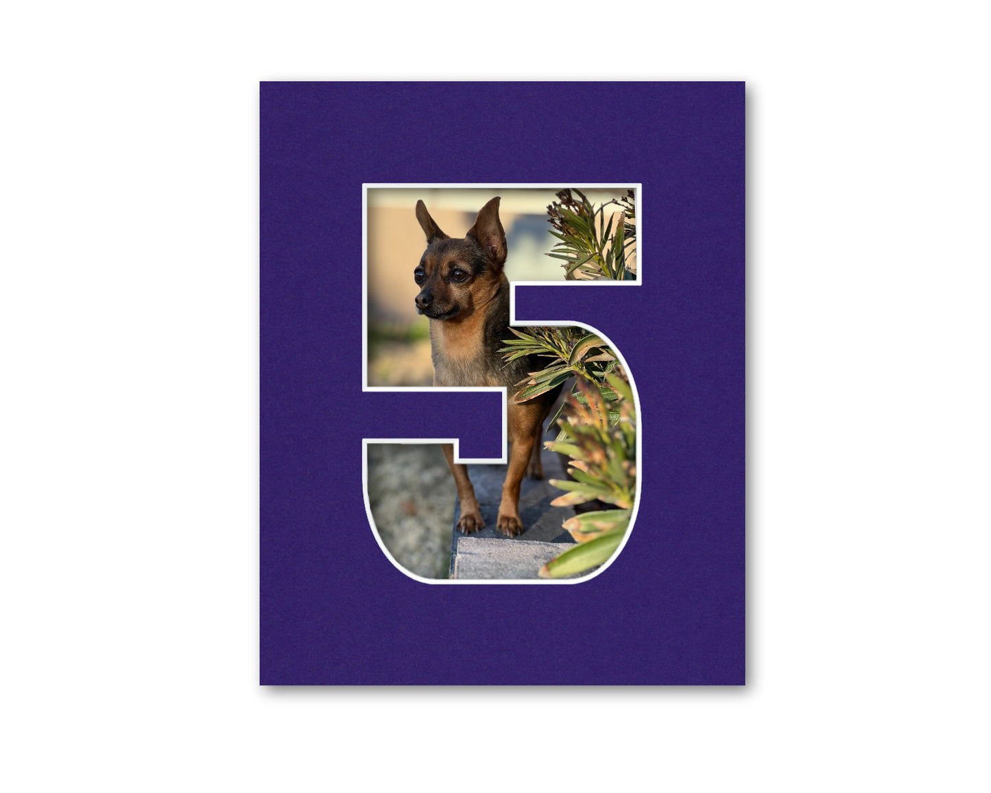 An example of what this number mat looks like with a photo in it.