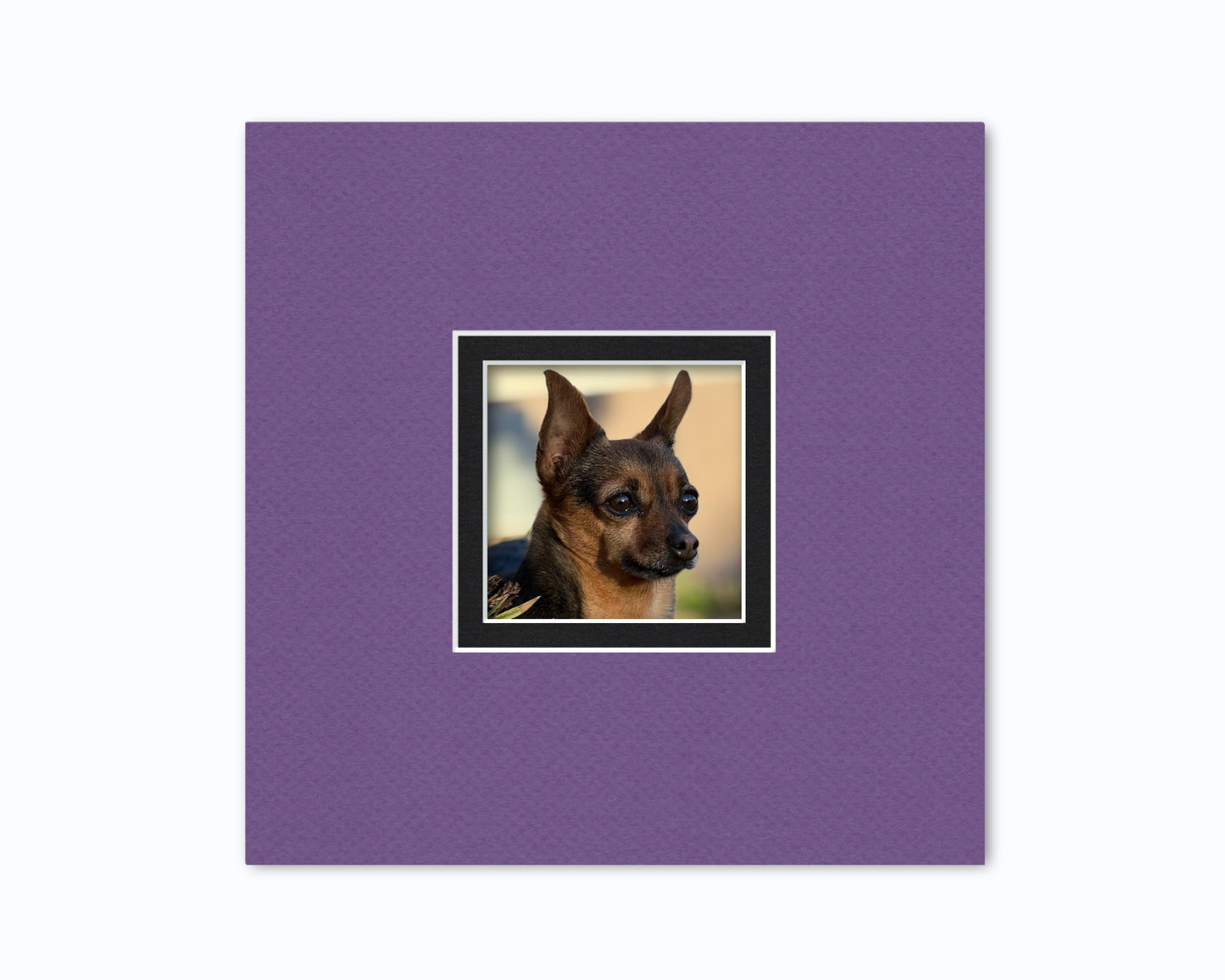 10x10 Double Mat for 4x4 Photo | Premium White Core Matboard