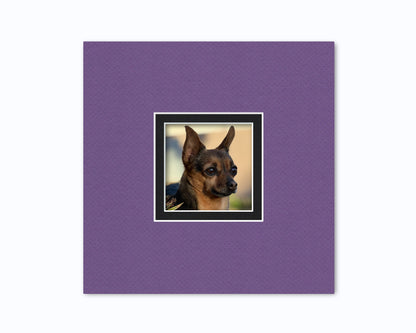 10x10 Double Mat for 4x4 Photo | Premium White Core Matboard