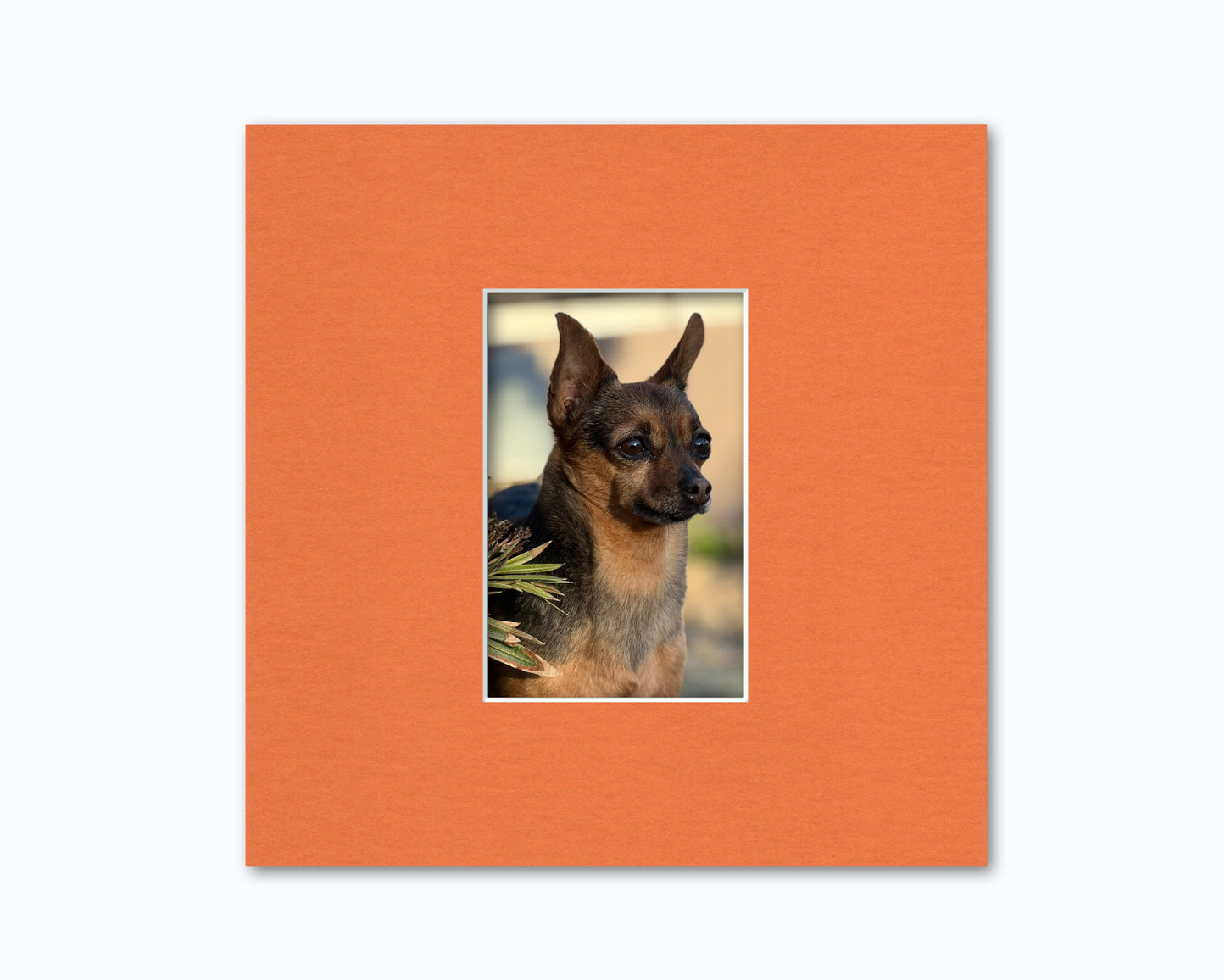 10x10 Mat for 4x6 Photo | Premium White Core Matboard