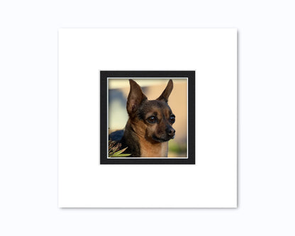 An example of what this 10x10 square double mat looks like with a 5x5 photo in it.