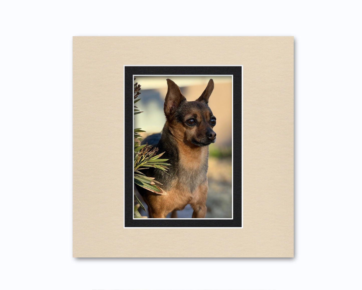 10x10 Double Mat for 5x7 Photo | Premium White Core Matboard