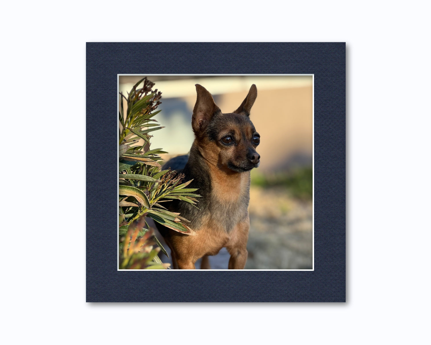 An example of what this 10x10 mat looks like with an 8x8 photo in it.