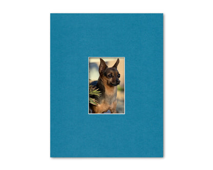 An example of what this 11x14 mat looks like with a 4x6 photo in it.