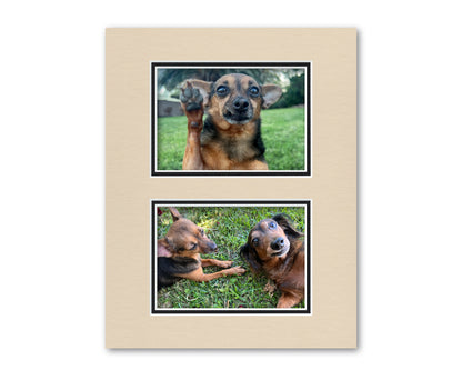 An example of what this 11x14 collage double mat looks like with two 5x7 photos in it.