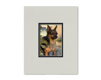 An example of what this 11x14 double mat looks like with a 5x7 photo in it.
