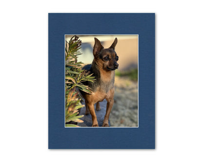 An example of our Blue matboard with a photo in it.