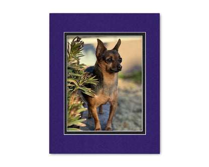An example of what this 11x14 double mat looks like with an 8x10 photo in it.