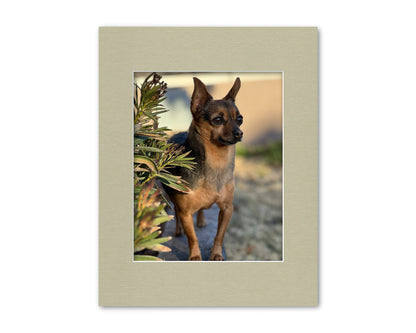 An example of our Light Olive matboard with a photo in it.