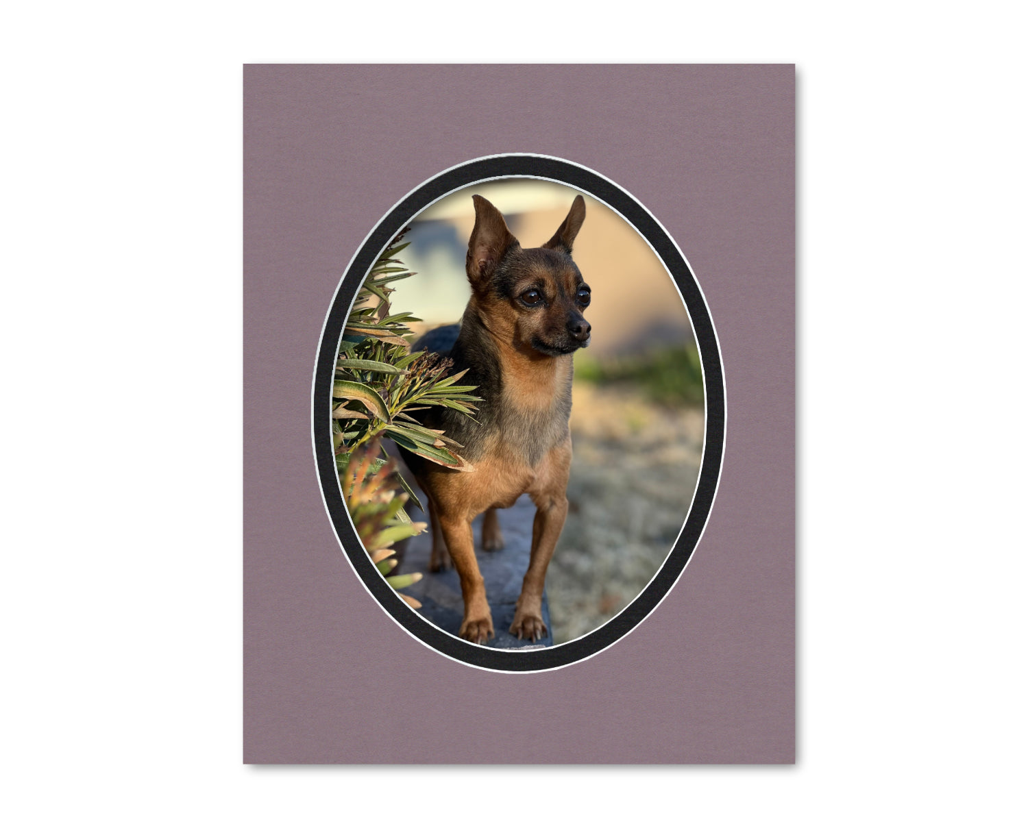 An example of what this 11x14 double mat looks like with an 8x10 oval photo in it.
