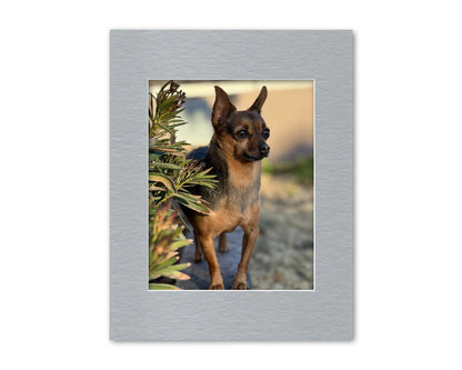 An example of our Silver Metallic matboard with a photo in it.