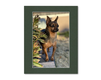 An example of what this 11x14 mat looks like with an 8x12 photo in it.