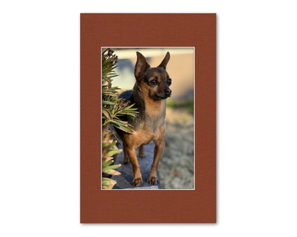 An example of what this 11x17 mat looks like with an 8x12 photo in it.