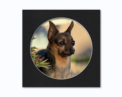 12x12 Mat for Custom Oval Photo | Premium White Core Matboard