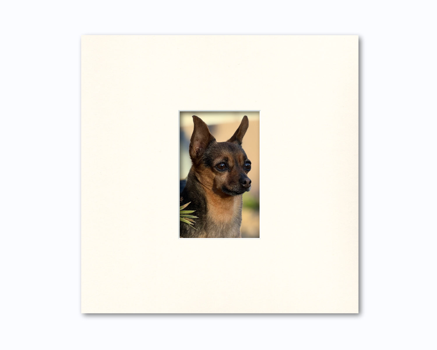 An example of what this 12x12 mat looks like with a 4x6 photo in it.
