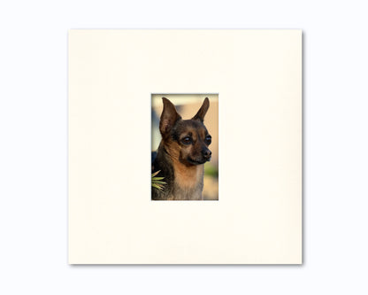 An example of what this 12x12 mat looks like with a 4x6 photo in it.