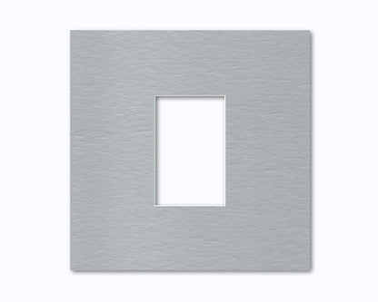 Silver (Metallic)