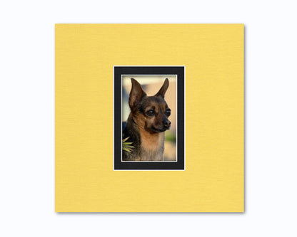 An example of what this 12x12 double mat looks like with a 4x6 photo in it.