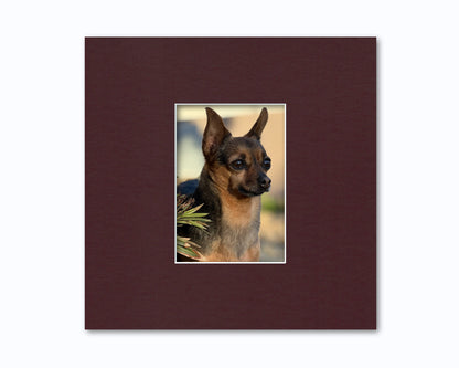 An example of what this 12x12 mat looks like with a 5x7 photo in it.