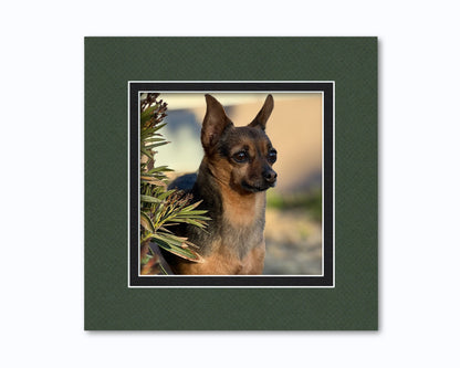 An example of what this 12x12 double mat looks like with an 8x8 photo in it.
