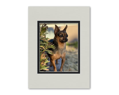 An example of what this 12x16 double mat looks like with an 8x10 photo in it.