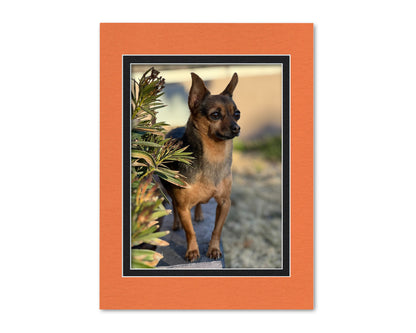 An example of what this 12x16 mat looks like with a 9x12 photo in it.
