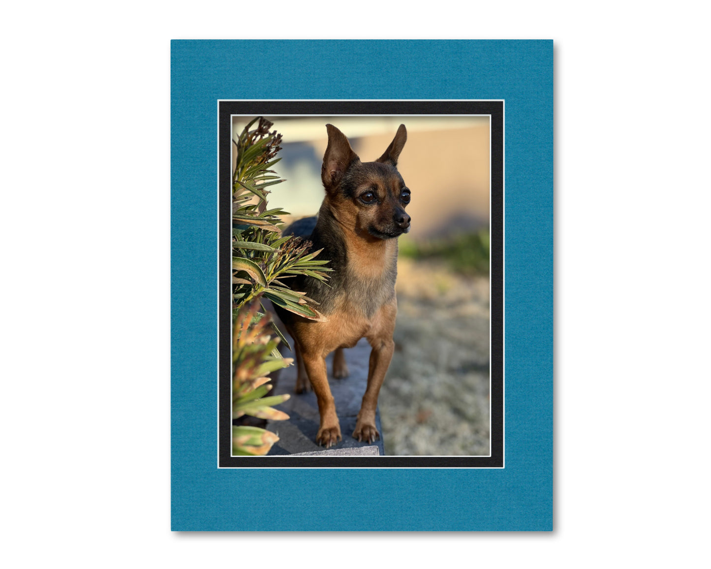 14x18 Double Mat for Custom Photo | Premium White Core Matboard