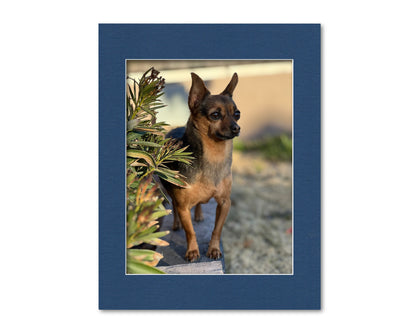 An example of what this 14x18 mat looks like with a 11x14 photo in it.