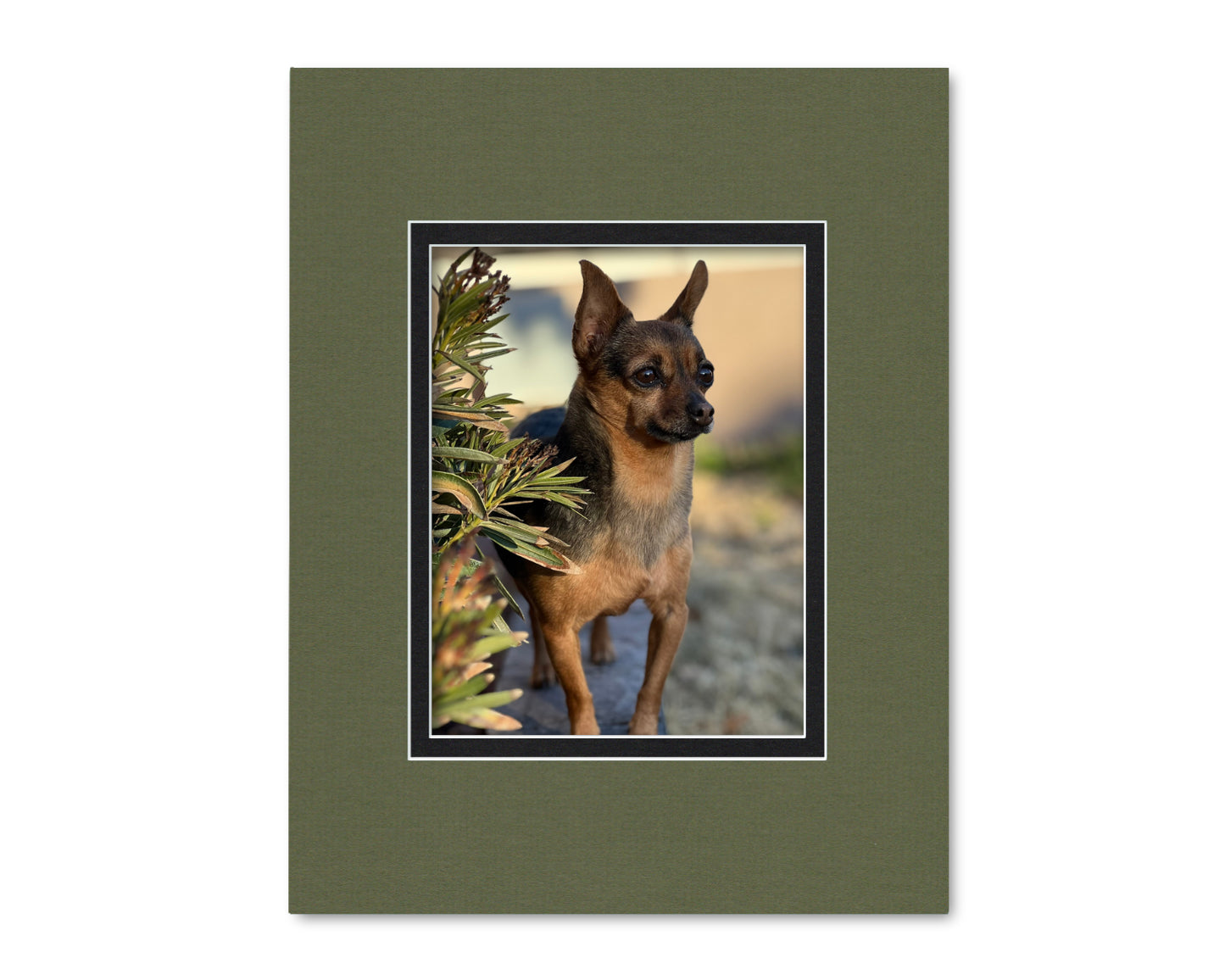 14x18 Double Mat for 8.5x11 Photo or Document | Premium White Core Matboard