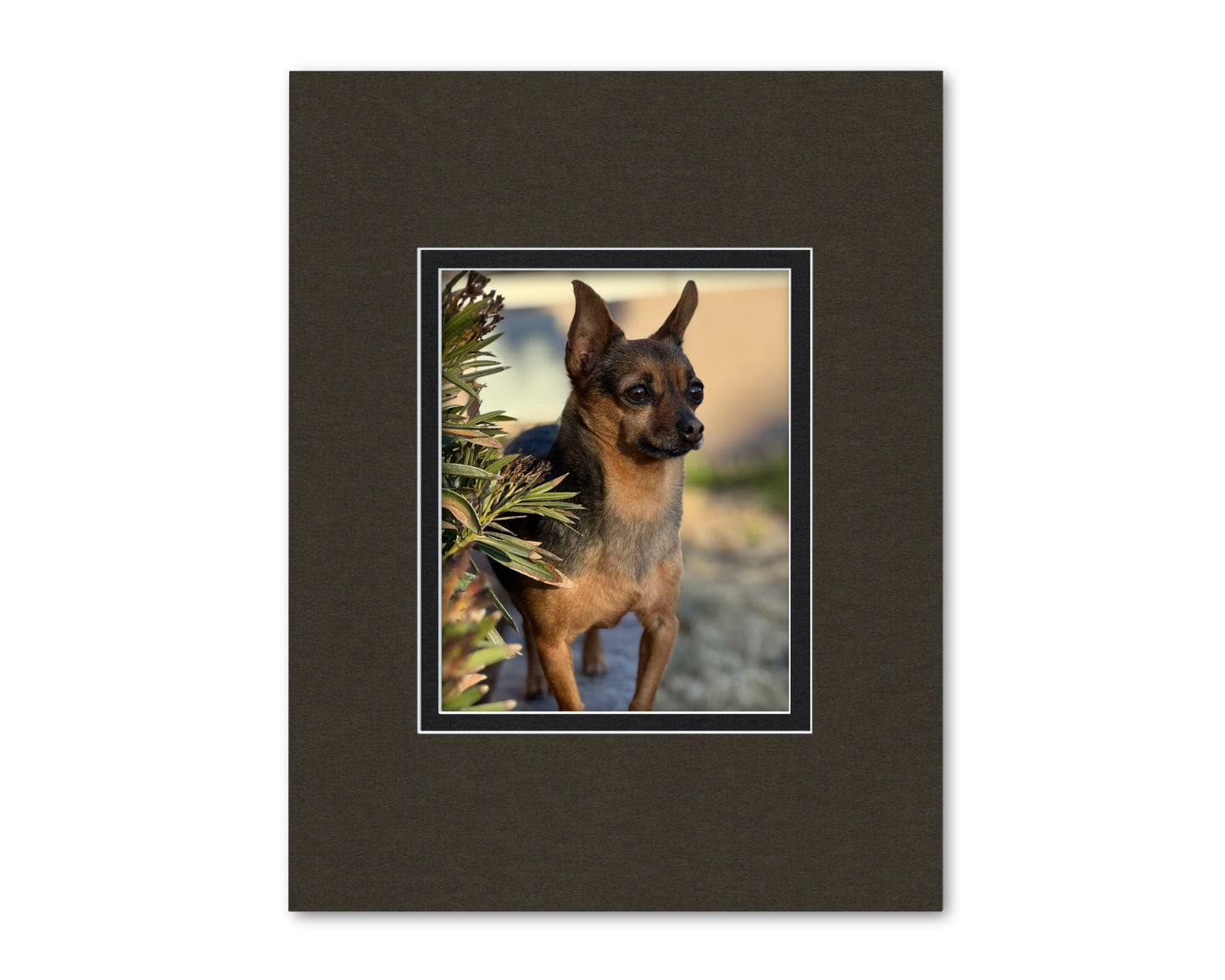 14x18 Double Mat for 8x10 Photo | Premium White Core Matboard