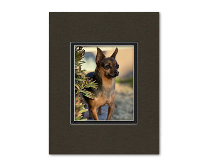 14x18 Double Mat for 8x10 Photo | Premium White Core Matboard
