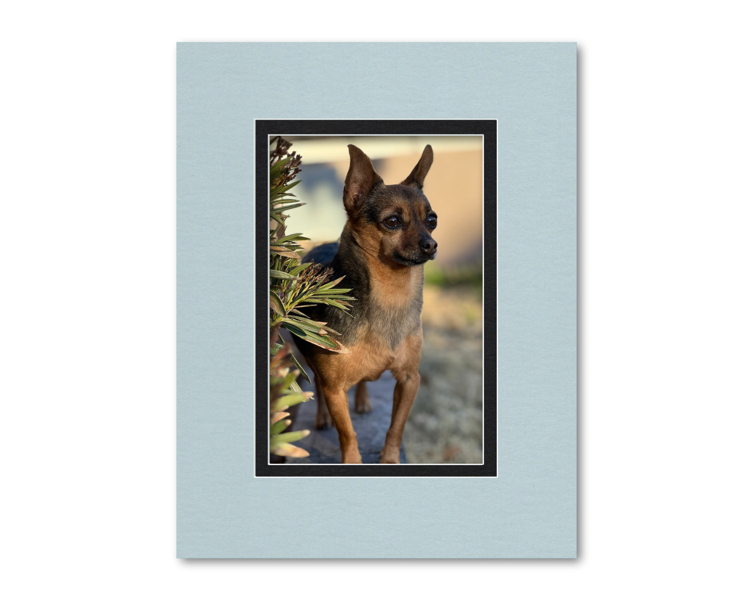 An example of what this 14x18 mat looks like with an 8x12 photo in it.