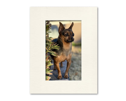 An example of what this 14x18 mat looks like with an 8x13 photo in it.