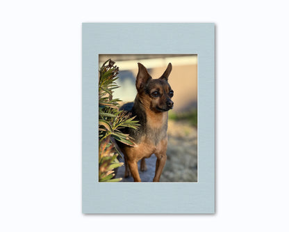 An example of what this 14x20 picture framing mat looks like with an 11x14 photo in it.