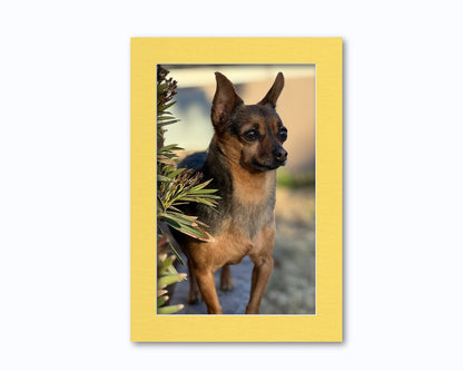 An example of what this 14x20 mat looks like with an 11x17 photo in it.