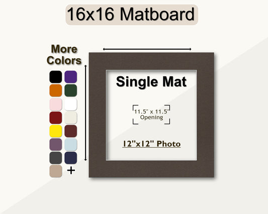 16x16 matboard with a single mat for a 12x12 photo, color swatch on the left.