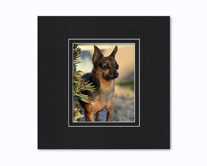 An example of what this 16x16 double mat looks like with an 8x10 photo in it.
