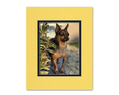 An example of what this 16x20 double mat looks like with a 10x13 photo in it.