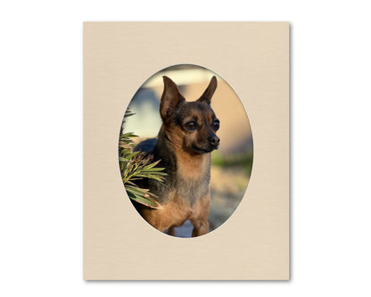 An example of what this 16x20 mat looks like with an 11x14 oval photo in it.