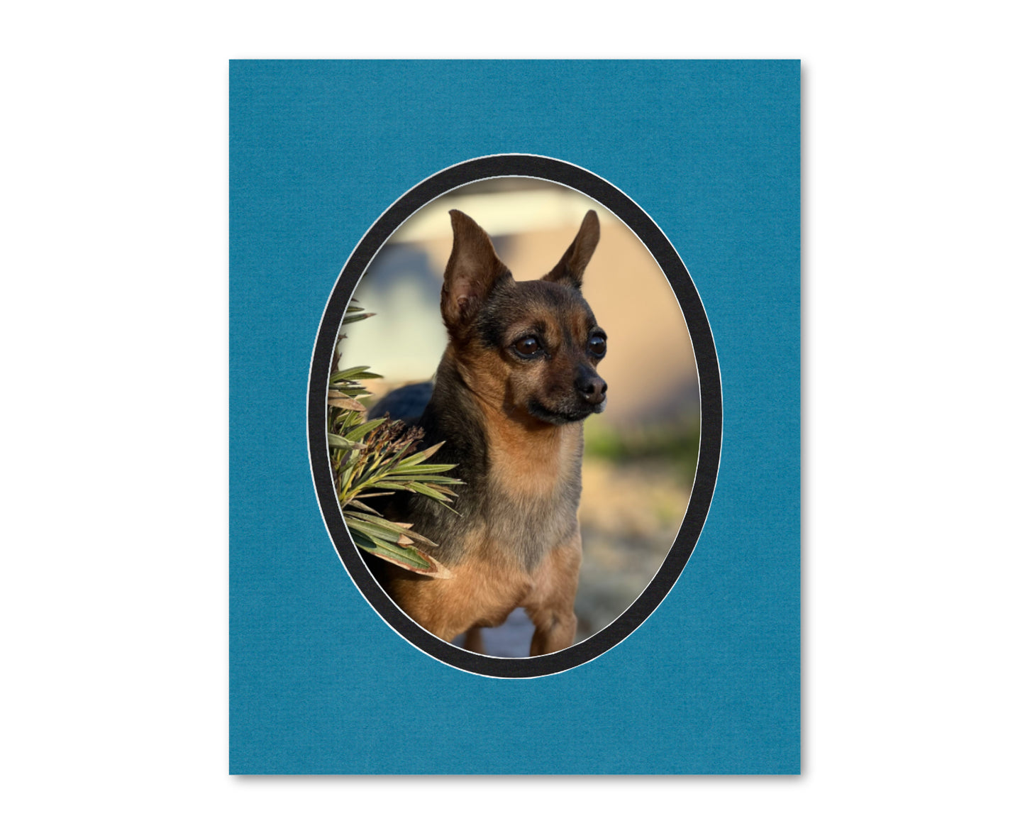 An example of what this 16x20 double mat looks like with an 11x14 oval photo in it.
