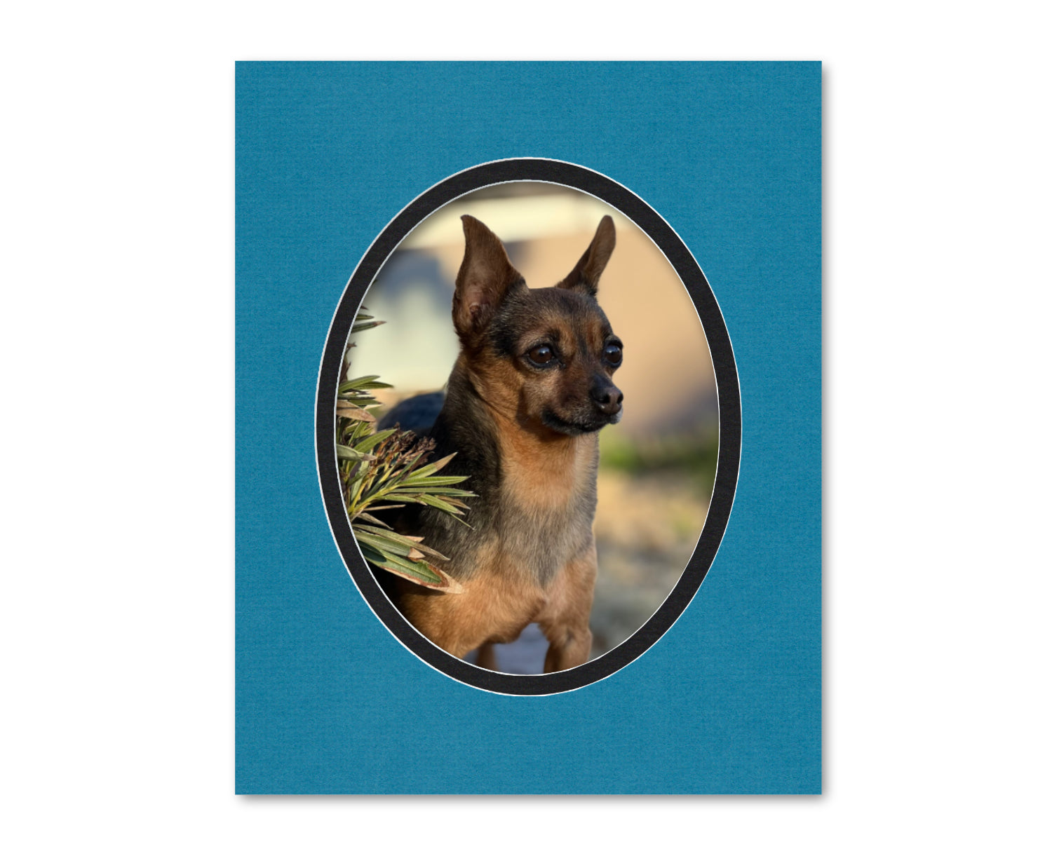 An example of what this 16x20 double mat looks like with an 11x14 oval photo in it.
