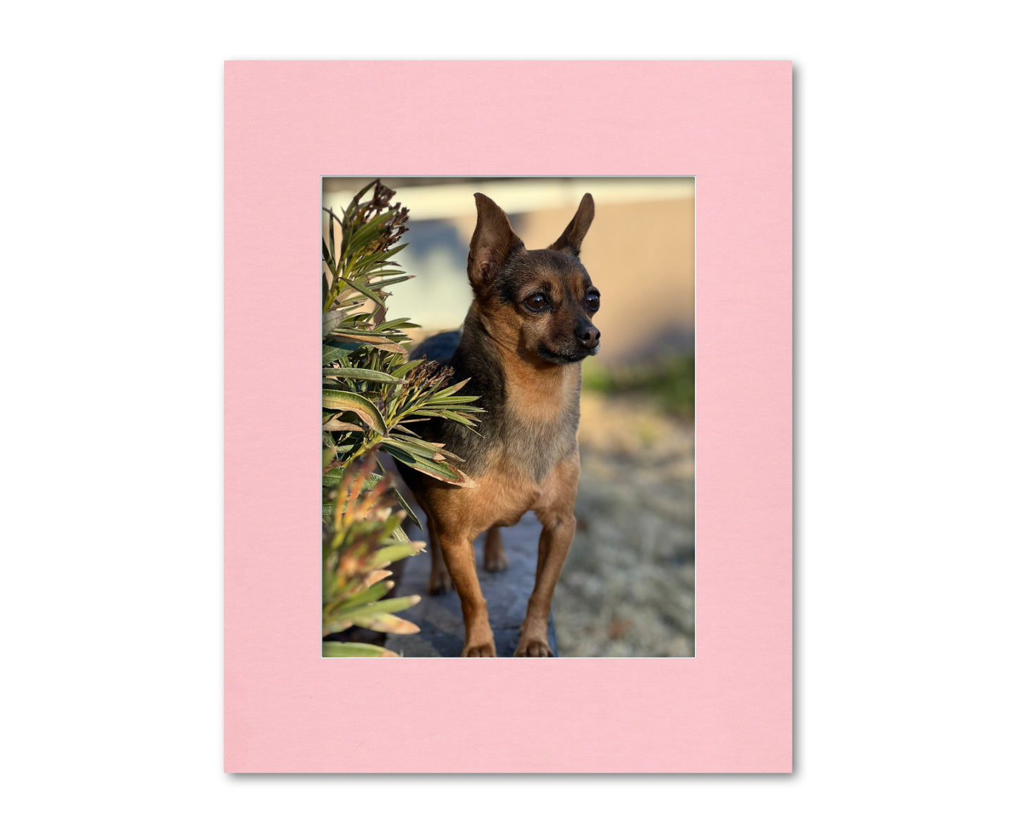16x20 Mat for 11x14 Photo | Premium White Core Matboard