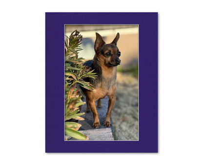 An example of what this 16x20 mat looks like with an 11x17 photo in it.