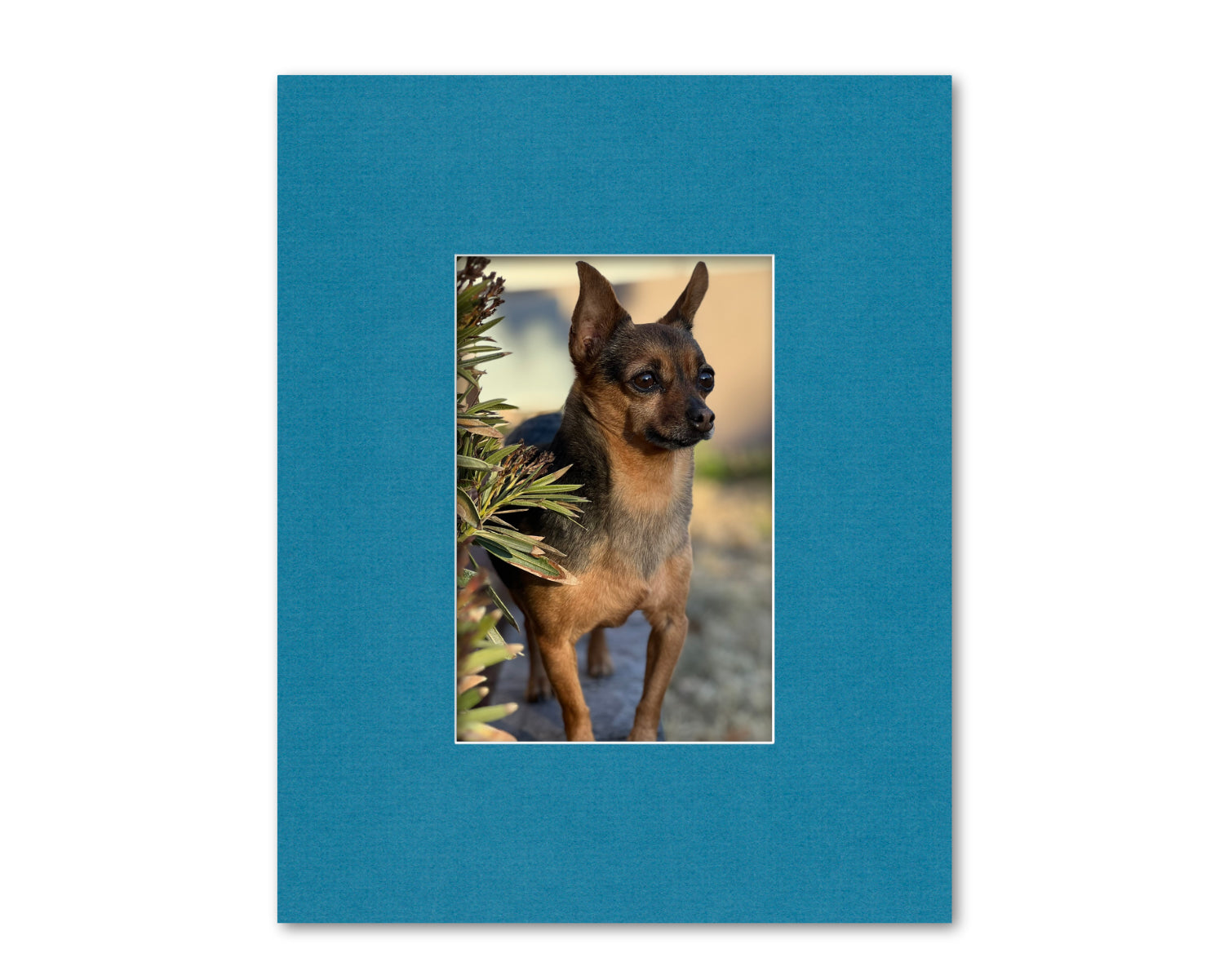 An example of what this 16x20 mat looks like with an 8x12 photo in it.