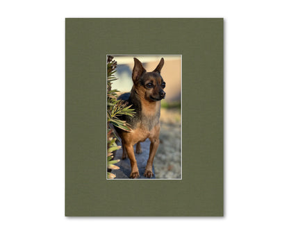 An example of what this 16x20 framing mat looks like with an 8x13 photo in it.