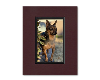An example of what this 16x20 double mat looks like with an 8x13 photo in it.