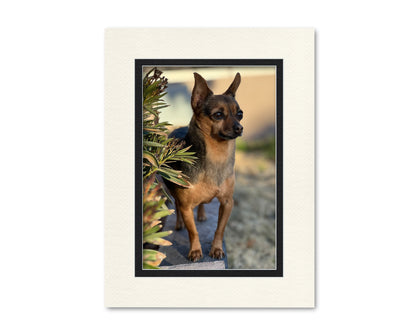 An example of what this 18x24 double mat looks like with a 12x18 photo in it.