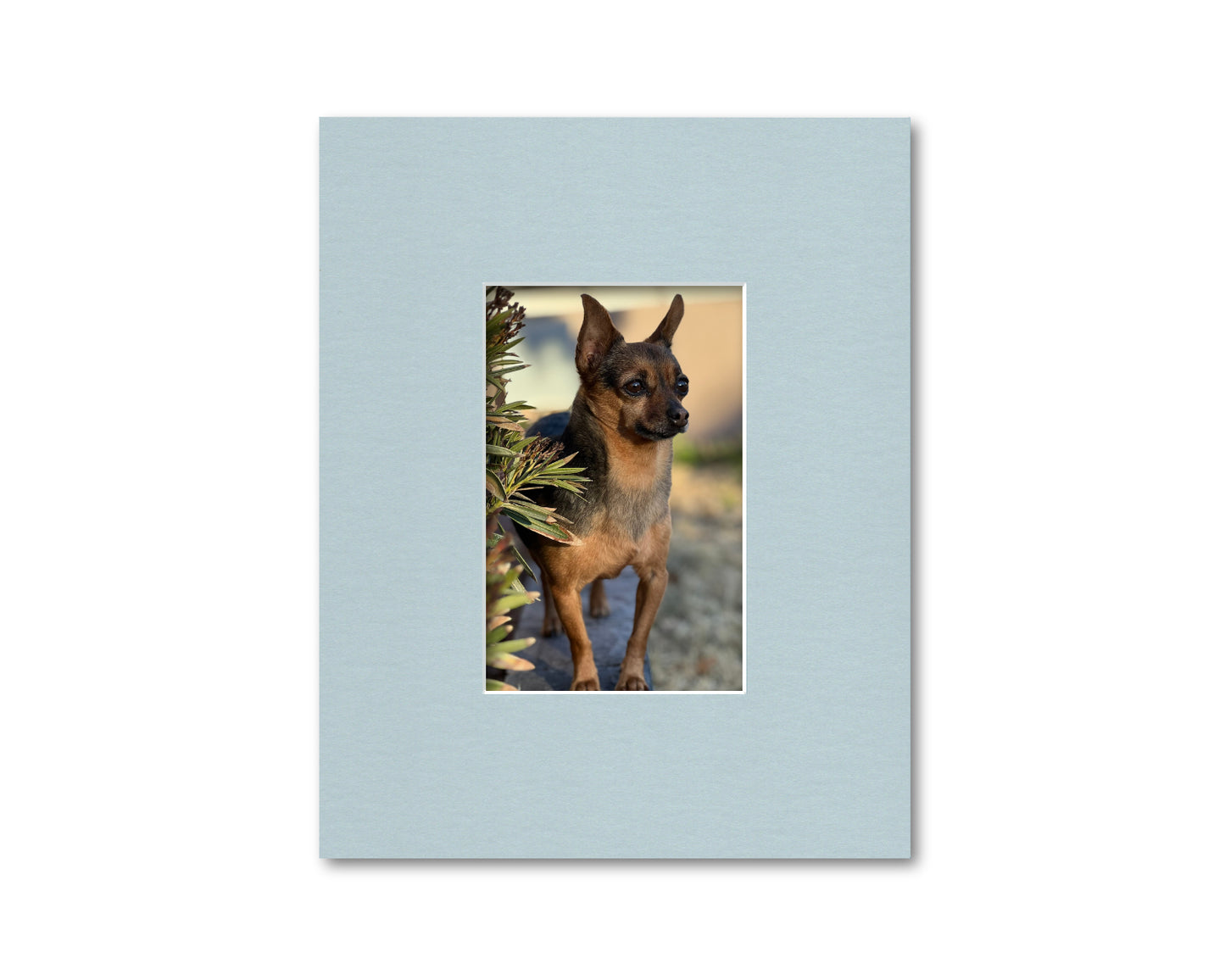 An example of what this 8x10 mat looks like with a 4x6 photo in it.